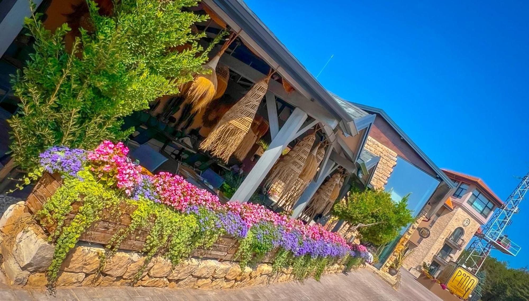 Pino - Villa, Casa, Cucina Е Terrazza Albena Exterior foto