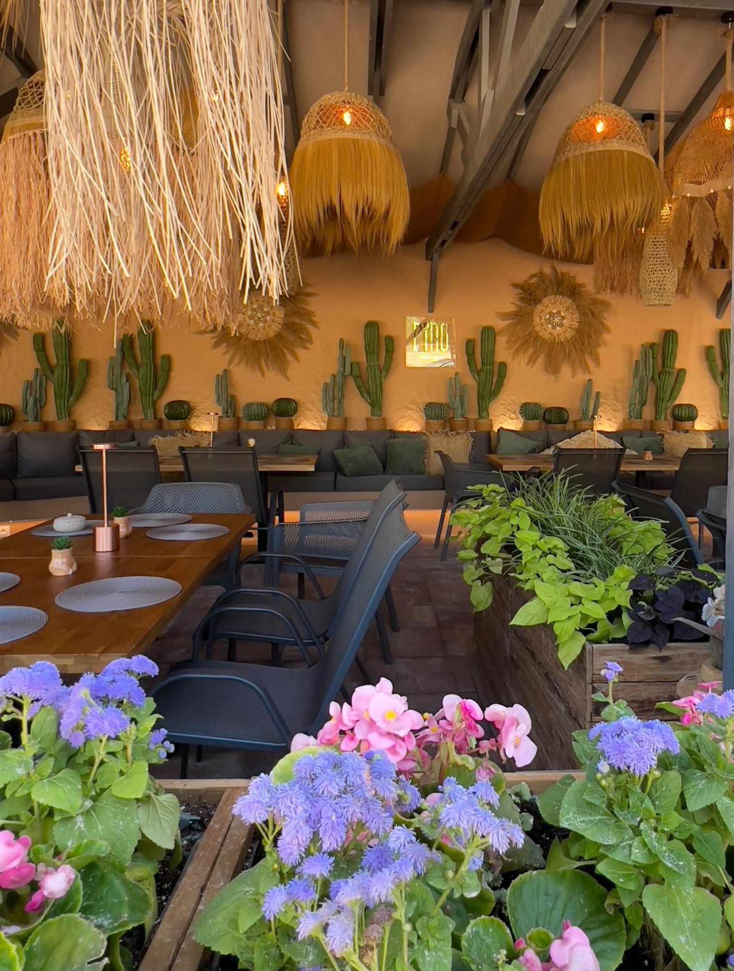 Pino - Villa, Casa, Cucina Е Terrazza Albena Exterior foto